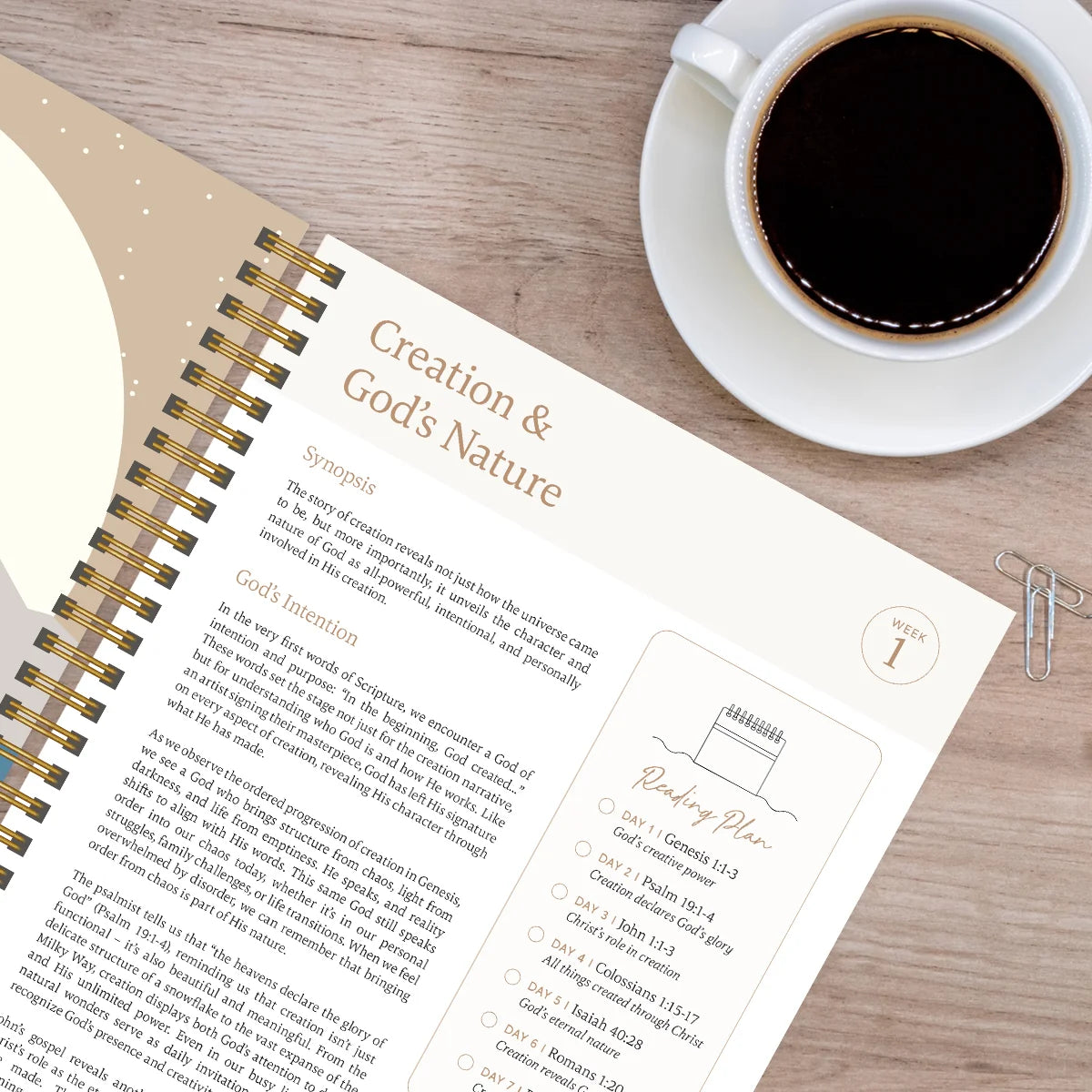 The Bible In A Year: A 52-Week Journey Through God's Word